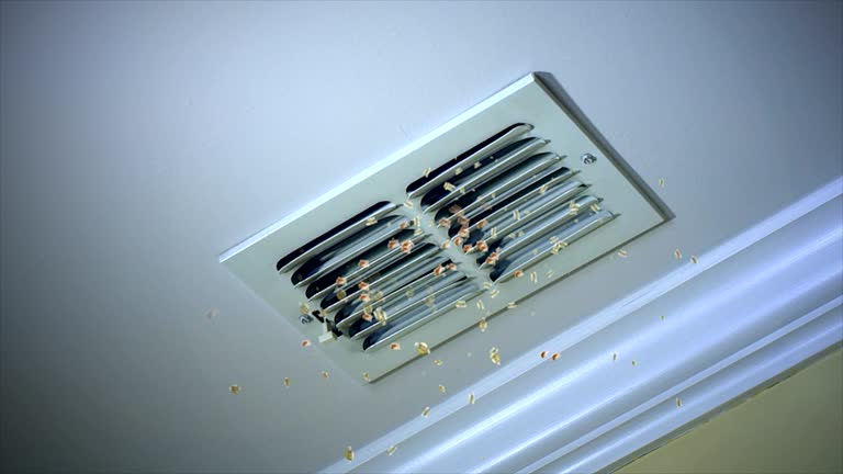 Best Ductwork Cleaning Services  in Edgewood, WA