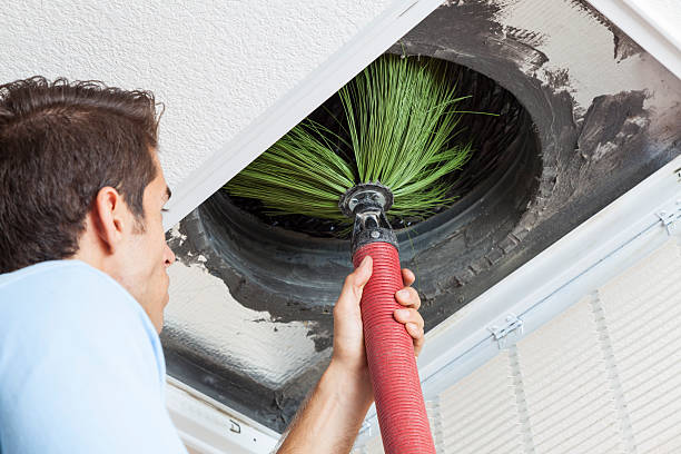 Best Air Vent Cleaning Services  in Edgewood, WA